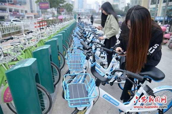 摩拜单车，引领城市绿色出行的革命性力量
