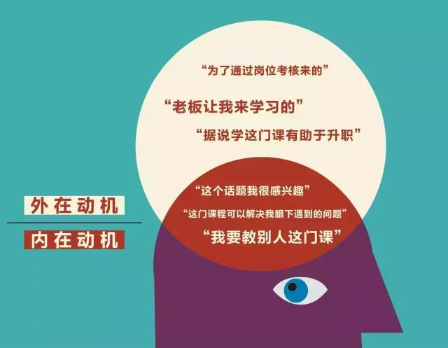 为啥，探索原因与动机的奥秘