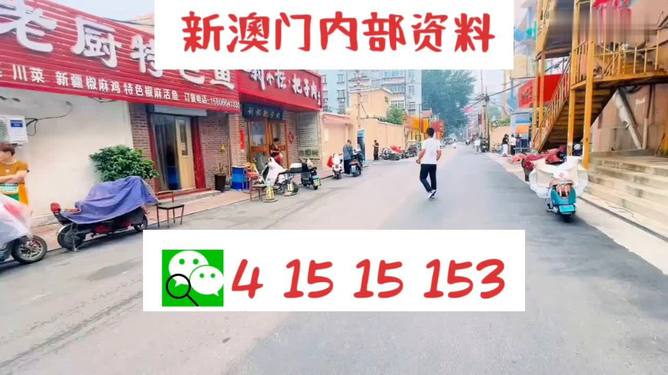 2024新澳门天天开好彩大全，最新解答解释落实_app55.62.59