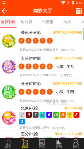 王中王100期期一肖|深度解答解释落实_WP73.90.84