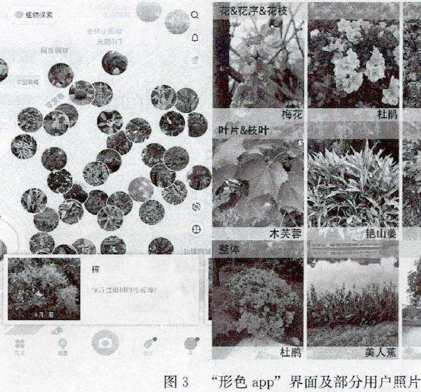 样张的多样性与应用