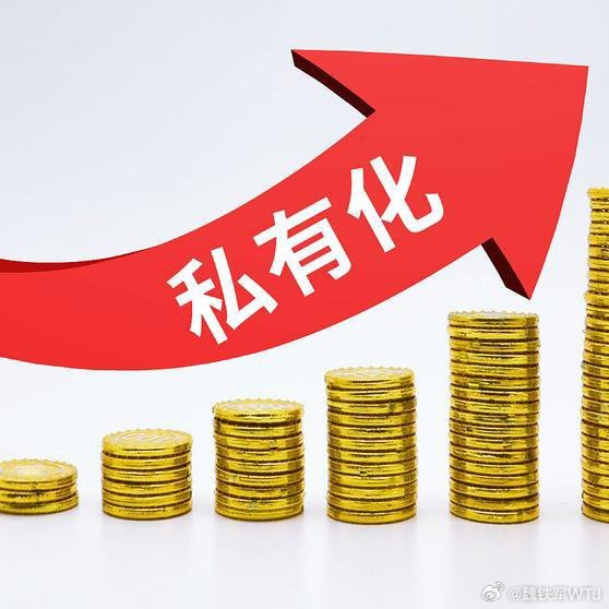 私有化，经济变革的微观视角
